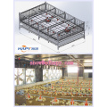 Poultry House Equipment From Super Herdsman in Low Price